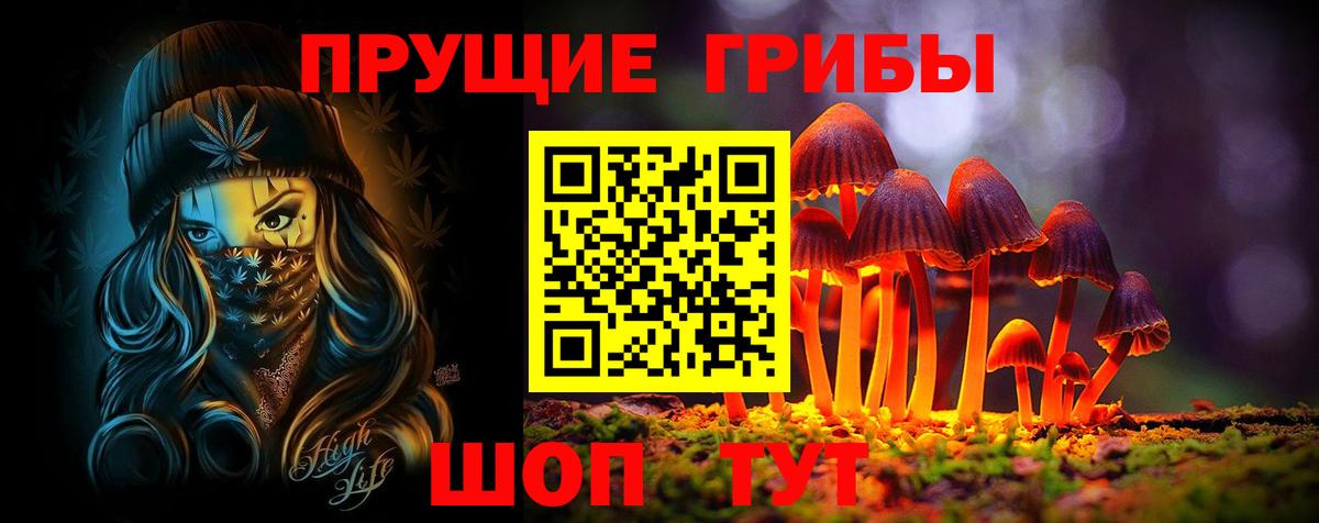 Славгород  Псилоцибиновые грибы MAGIC MUSHROOMS  Вход с VPN 